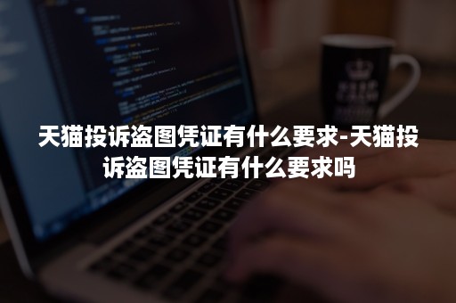 天猫投诉盗图凭证有什么要求-天猫投诉盗图凭证有什么要求吗