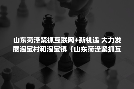 山东菏泽紧抓互联网+新机遇 大力发展淘宝村和淘宝镇（山东菏泽紧抓互联网 新机遇新挑战）