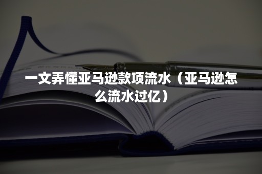 一文弄懂亚马逊款项流水（亚马逊怎么流水过亿）