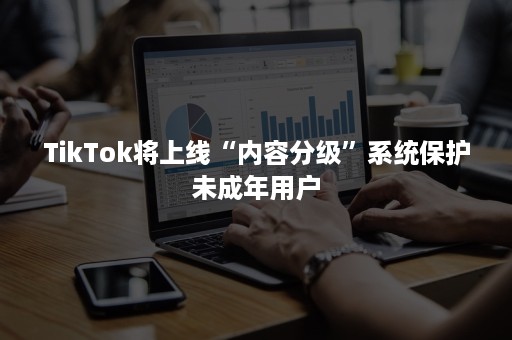 TikTok将上线“内容分级”系统保护未成年用户