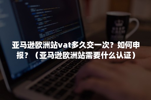 亚马逊欧洲站vat多久交一次？如何申报？（亚马逊欧洲站需要什么认证）