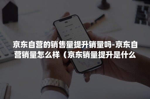 京东自营的销售量提升销量吗-京东自营销量怎么样（京东销量提升是什么工作）