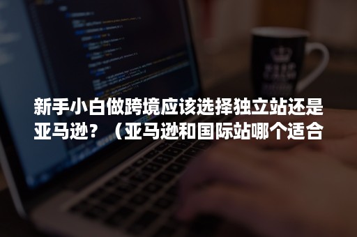 新手小白做跨境应该选择独立站还是亚马逊？（亚马逊和国际站哪个适合新手）