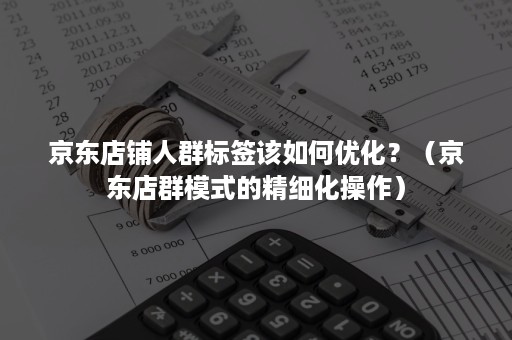 京东店铺人群标签该如何优化？（京东店群模式的精细化操作）