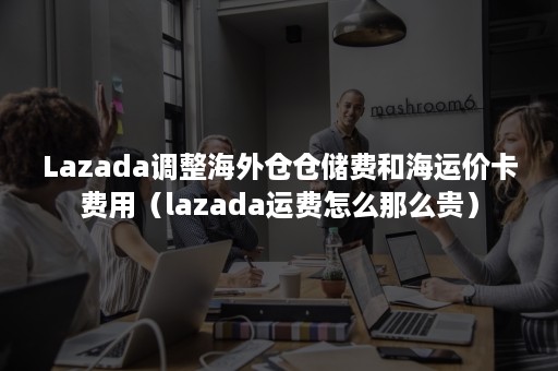 Lazada调整海外仓仓储费和海运价卡费用（lazada运费怎么那么贵）