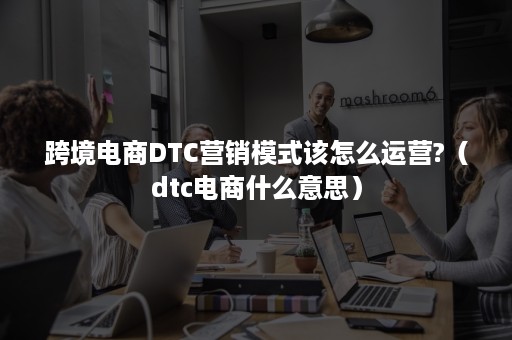 跨境电商DTC营销模式该怎么运营?（dtc电商什么意思）