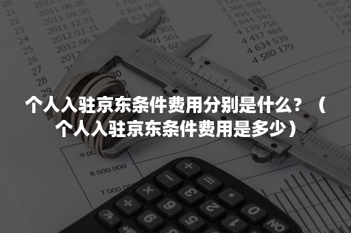 个人入驻京东条件费用分别是什么？（个人入驻京东条件费用是多少）