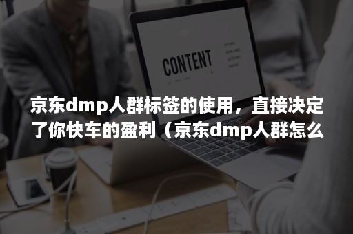 京东dmp人群标签的使用，直接决定了你快车的盈利（京东dmp人群怎么圈定）