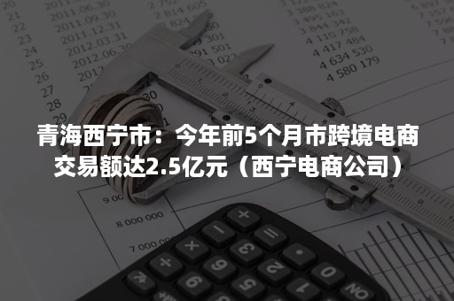 青海西宁市：今年前5个月市跨境电商交易额达2.5亿元（西宁电商公司）