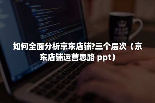 如何全面分析京东店铺?三个层次（京东店铺运营思路 ppt）