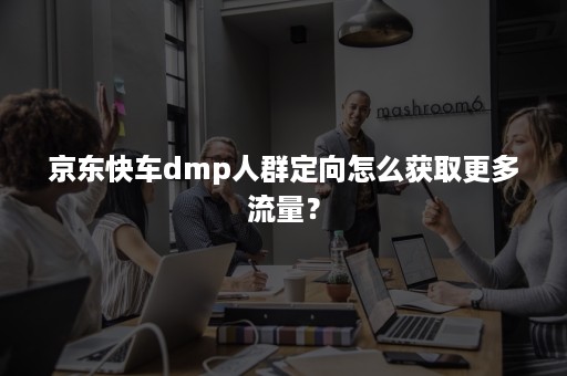 京东快车dmp人群定向怎么获取更多流量？