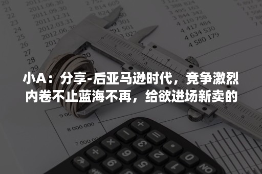 小A：分享-后亚马逊时代，竞争激烈内卷不止蓝海不再，给欲进场新卖的3点建议