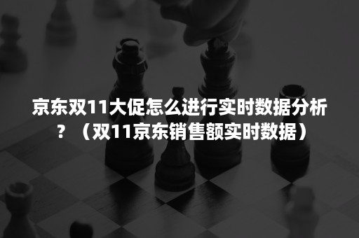 京东双11大促怎么进行实时数据分析？（双11京东销售额实时数据）