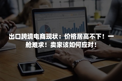 出口跨境电商现状：价格居高不下！一舱难求！卖家该如何应对！