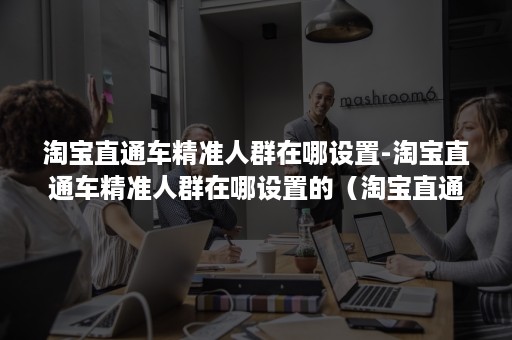 淘宝直通车精准人群在哪设置-淘宝直通车精准人群在哪设置的（淘宝直通车智能拉新人群）