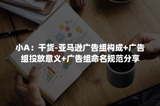 小A：干货-亚马逊广告组构成+广告组投放意义+广告组命名规范分享