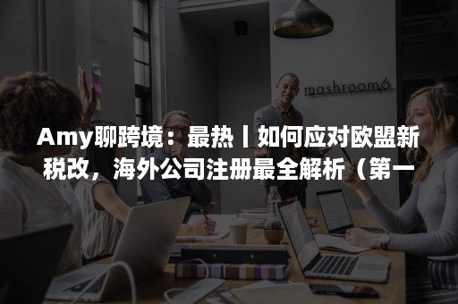 Amy聊跨境：最热丨如何应对欧盟新税改，海外公司注册最全解析（第一期）