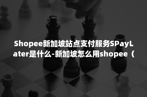 Shopee新加坡站点支付服务SPayLater是什么-新加坡怎么用shopee（新加坡Shopee）