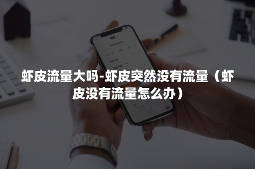 虾皮流量大吗-虾皮突然没有流量（虾皮没有流量怎么办）