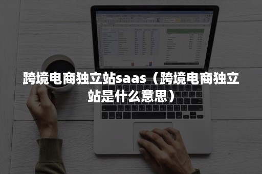跨境电商独立站saas（跨境电商独立站是什么意思）