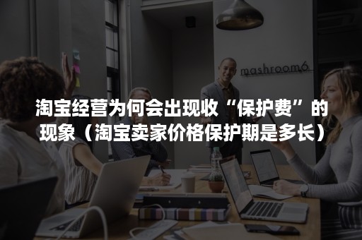 淘宝经营为何会出现收“保护费”的现象（淘宝卖家价格保护期是多长）