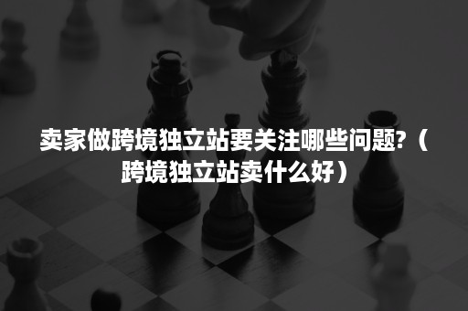 卖家做跨境独立站要关注哪些问题?（跨境独立站卖什么好）