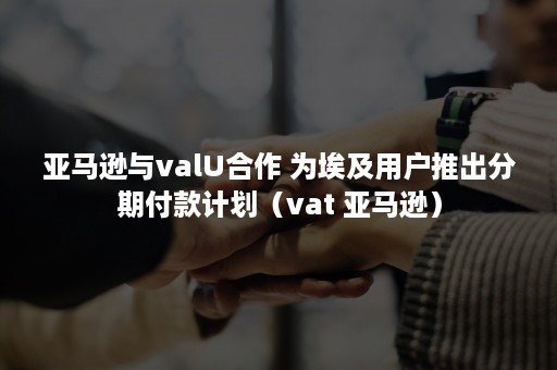 亚马逊与valU合作 为埃及用户推出分期付款计划（vat 亚马逊）