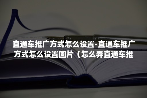 直通车推广方式怎么设置-直通车推广方式怎么设置图片（怎么弄直通车推广）