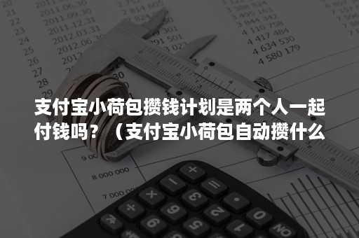 支付宝小荷包攒钱计划是两个人一起付钱吗？（支付宝小荷包自动攒什么时候扣钱）