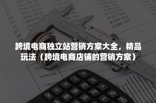 跨境电商独立站营销方案大全，精品玩法（跨境电商店铺的营销方案）