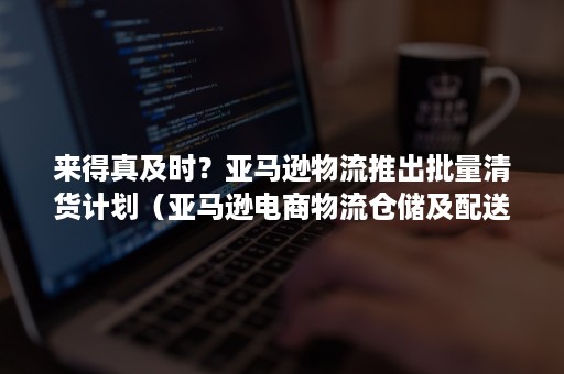 来得真及时？亚马逊物流推出批量清货计划（亚马逊电商物流仓储及配送的新策略）