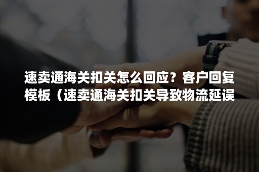 速卖通海关扣关怎么回应？客户回复模板（速卖通海关扣关导致物流延误,卖家应该怎么处理）