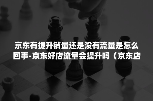京东有提升销量还是没有流量是怎么回事-京东好店流量会提升吗（京东店铺销售额为什么上不去）