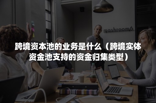 跨境资本池的业务是什么（跨境实体资金池支持的资金归集类型）