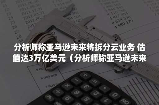 分析师称亚马逊未来将拆分云业务 估值达3万亿美元（分析师称亚马逊未来将拆分云业务是什么）