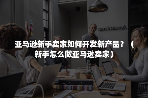 亚马逊新手卖家如何开发新产品？（新手怎么做亚马逊卖家）