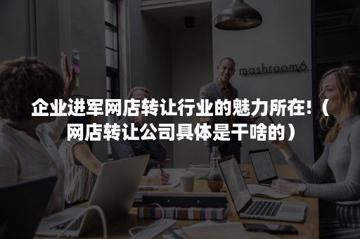 企业进军网店转让行业的魅力所在!（网店转让公司具体是干啥的）