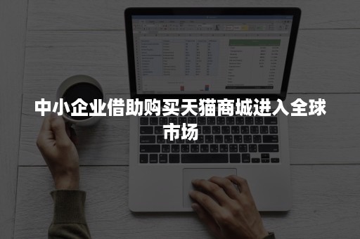 中小企业借助购买天猫商城进入全球市场 中小企业借助购买天猫商城进入全球市场