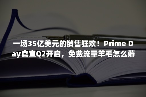 一场35亿美元的销售狂欢！Prime Day官宣Q2开启，免费流量羊毛怎么薅？（我们的销售收入总计达两百万美元）