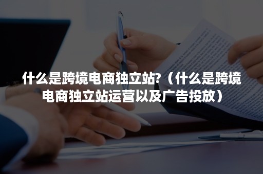 什么是跨境电商独立站?（什么是跨境电商独立站运营以及广告投放）