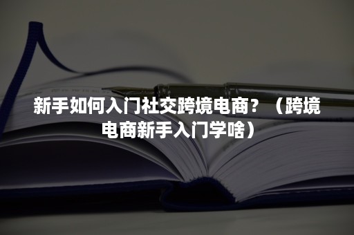 新手如何入门社交跨境电商？（跨境电商新手入门学啥）