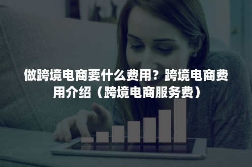 做跨境电商要什么费用？跨境电商费用介绍（跨境电商服务费）