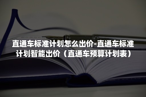 直通车标准计划怎么出价-直通车标准计划智能出价（直通车预算计划表）
