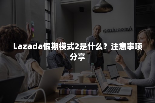 Lazada假期模式2是什么？注意事项分享