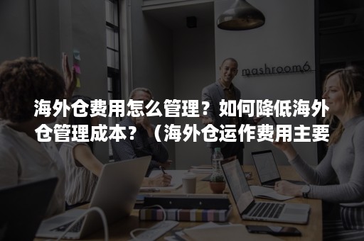 海外仓费用怎么管理？如何降低海外仓管理成本？（海外仓运作费用主要包括）