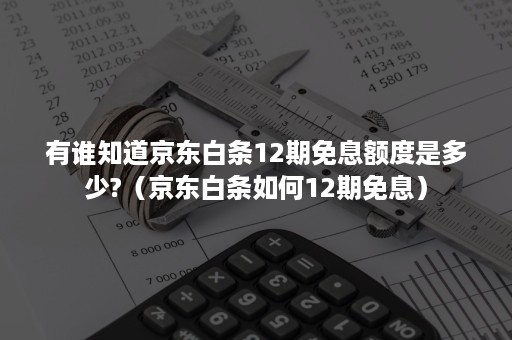 有谁知道京东白条12期免息额度是多少?（京东白条如何12期免息）