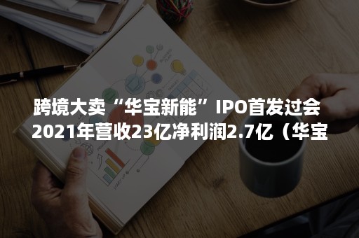 跨境大卖“华宝新能”IPO首发过会 2021年营收23亿净利润2.7亿（华宝上市公司）