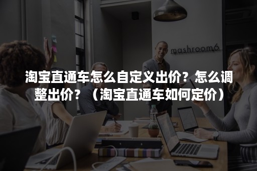 淘宝直通车怎么自定义出价？怎么调整出价？（淘宝直通车如何定价）