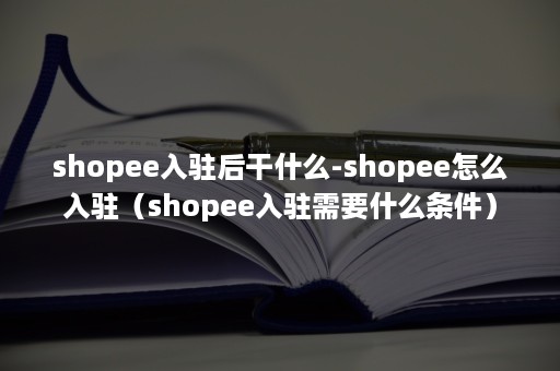 shopee入驻后干什么-shopee怎么入驻（shopee入驻需要什么条件）