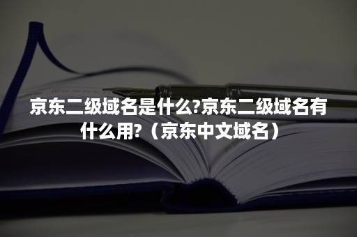 京东二级域名是什么?京东二级域名有什么用?(京东中文域名) 京东二级域名是什么?京东二级域名有什么用?(京东中文域名)